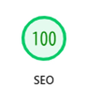 PageSpeed Insights のSEOスコア100点（実測）